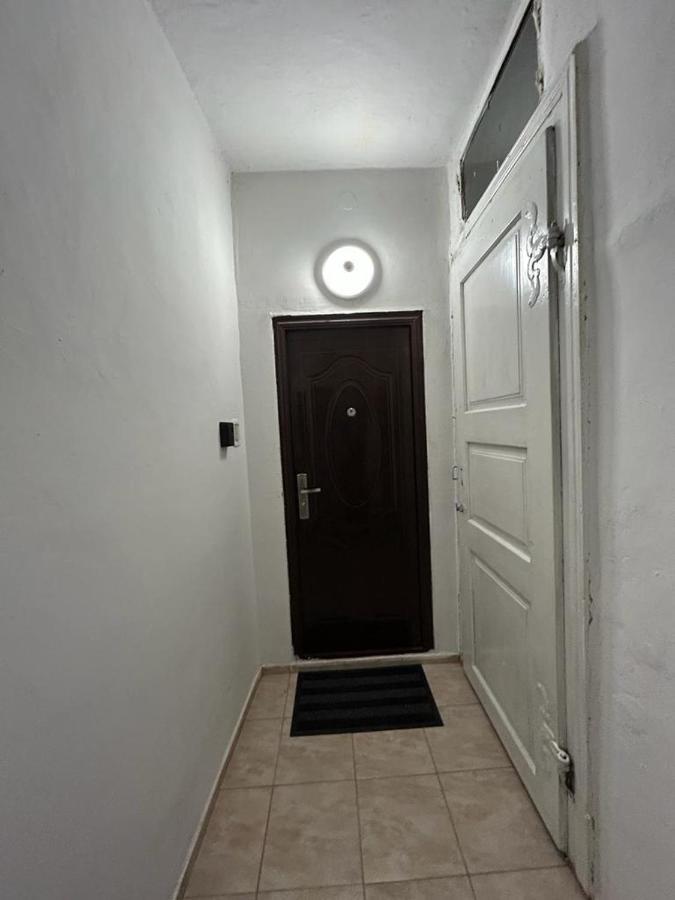 Guest House Rusu Μπρασόβ Εξωτερικό φωτογραφία